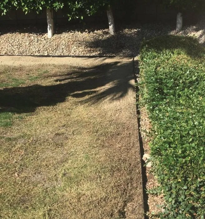 Top-rated yard cleanup service in Cathedral City, CA by Fuentes Landcure