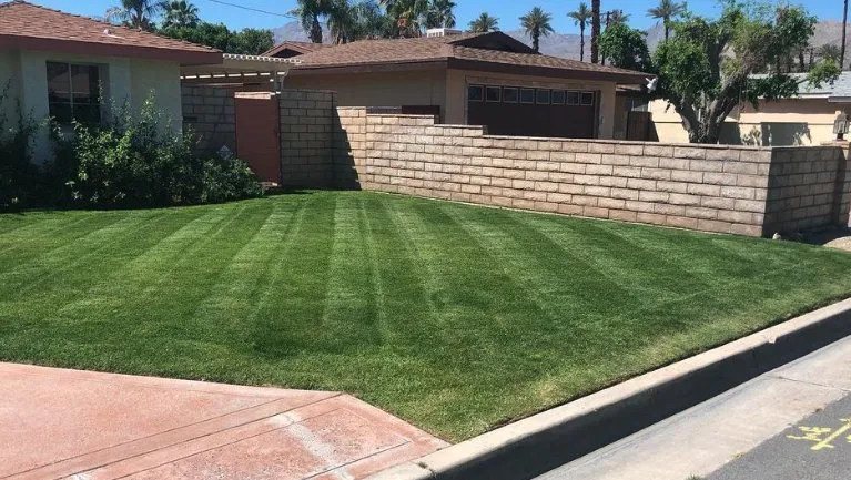 Affordable landscaping services for homes in Cathedral City, CA by Fuentes Landcure
