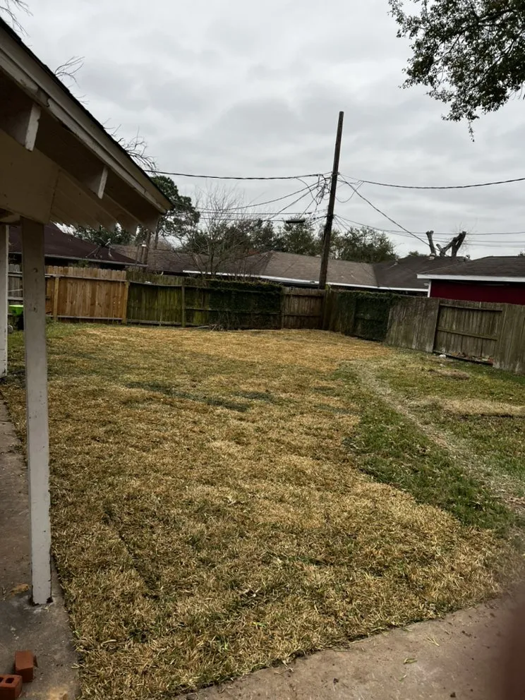 Affordable yard cleanup service in Sugar land, TX - Fuentes Landscape and Irrigation