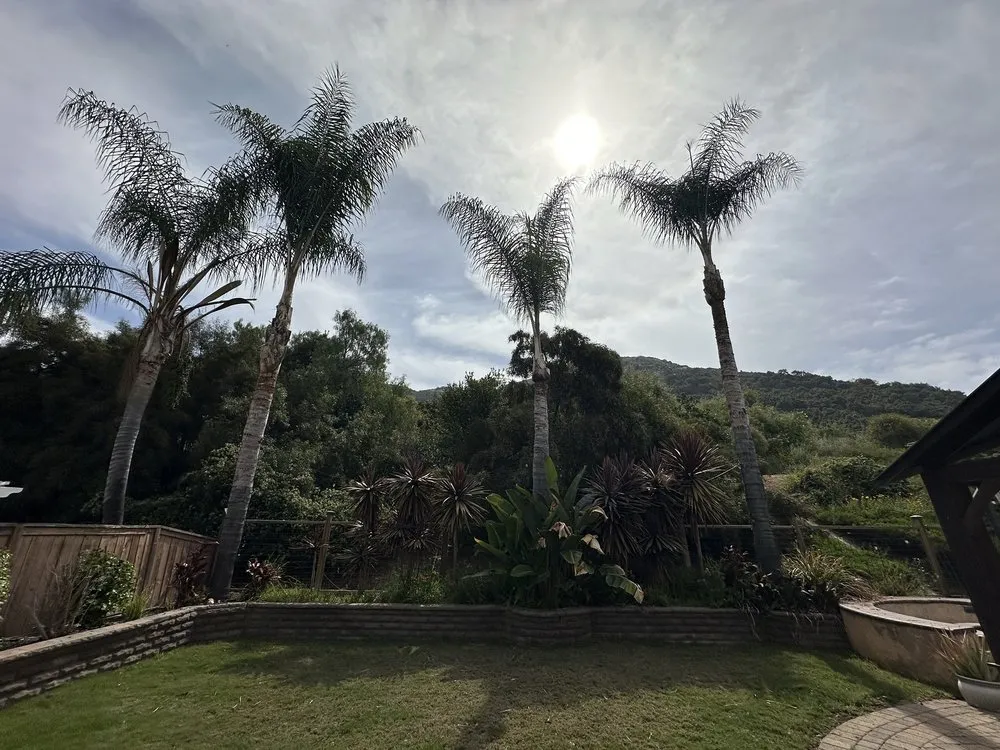Affordable landscape installation in Fallbrook, CA by Fuentes Landscape Management