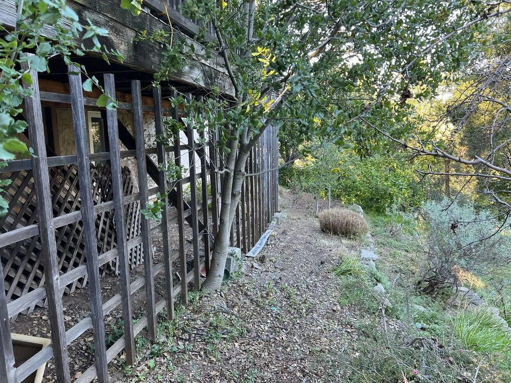 Trusted lawn mowing service in Palo Alto, CA by Fuentes Landscape