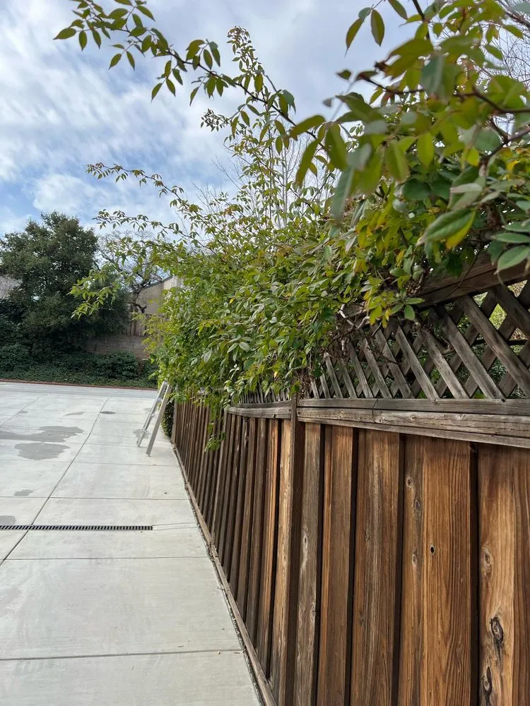 Local outdoor landscaping in Palo Alto, CA - Fuentes Landscape