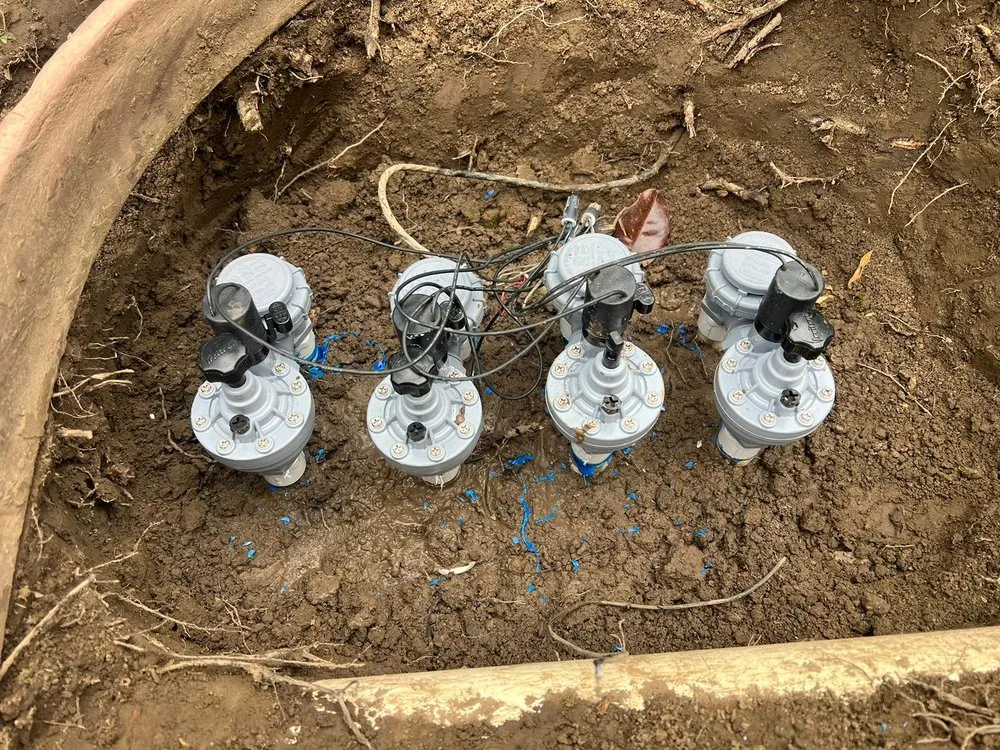 Reliable yard maintenance in Palo Alto, CA by Fuentes Landscape