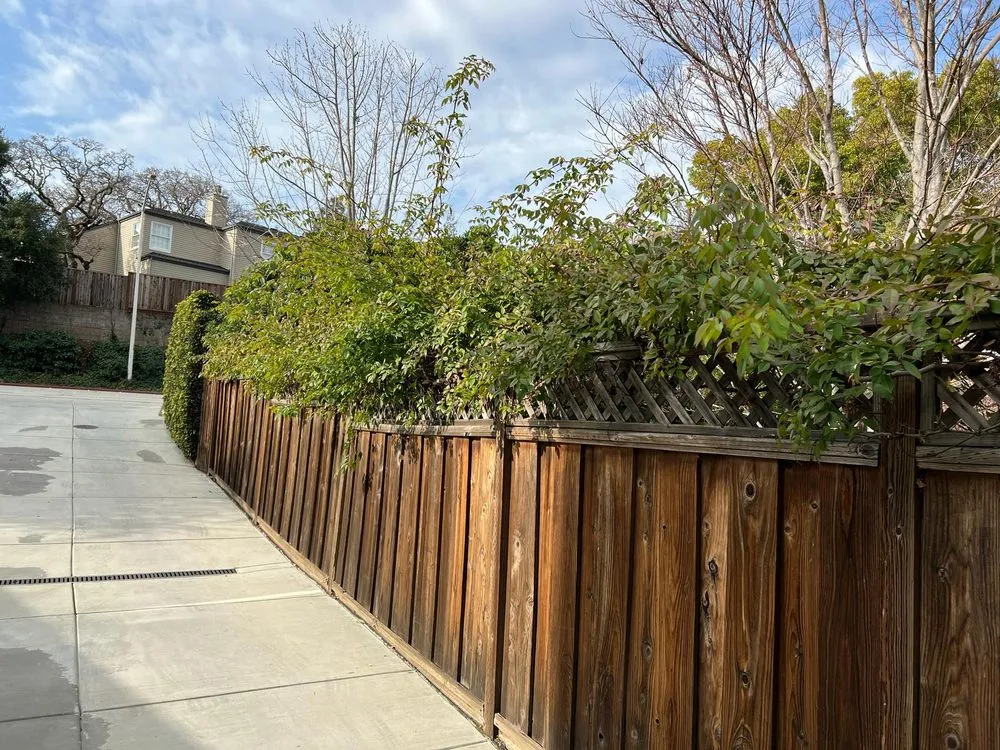 Affordable landscape design for beautiful yards across Palo Alto, CA - Fuentes Landscape