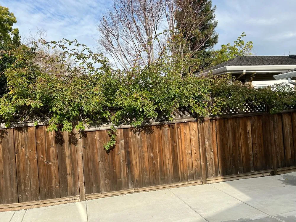 Expert landscape design for homes across Palo Alto, CA - Fuentes Landscape