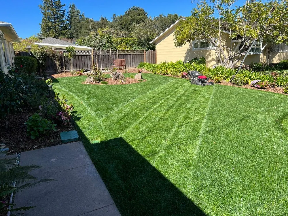 Expert lawn care service for year-round maintenance in Palo Alto, CA by Fuentes Landscape