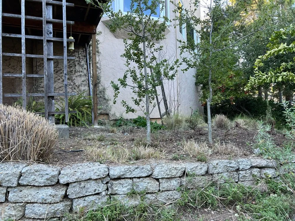 Top-rated landscape installation in Palo Alto, CA by Fuentes Landscape