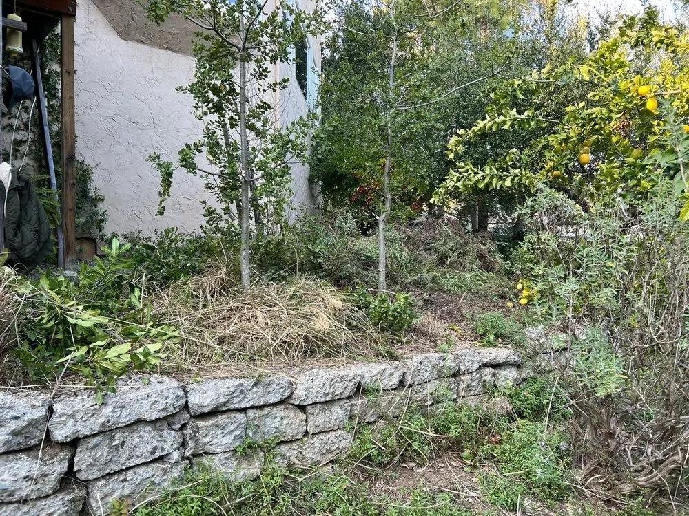 Custom outdoor landscaping in Palo Alto, CA - Fuentes Landscape