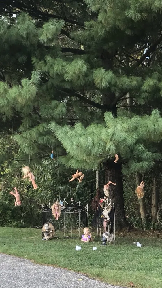 Local lawn care service for homes in Chadds Ford, PA by Fuentes Landscaping & Maintenance