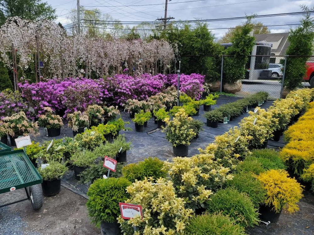 Custom lawn mowing service experts serving Deer Park, NY - Fuentes Landscaping