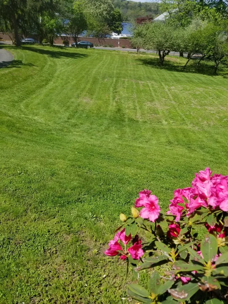 Trusted yard maintenance in Deer Park, NY - Fuentes Landscaping