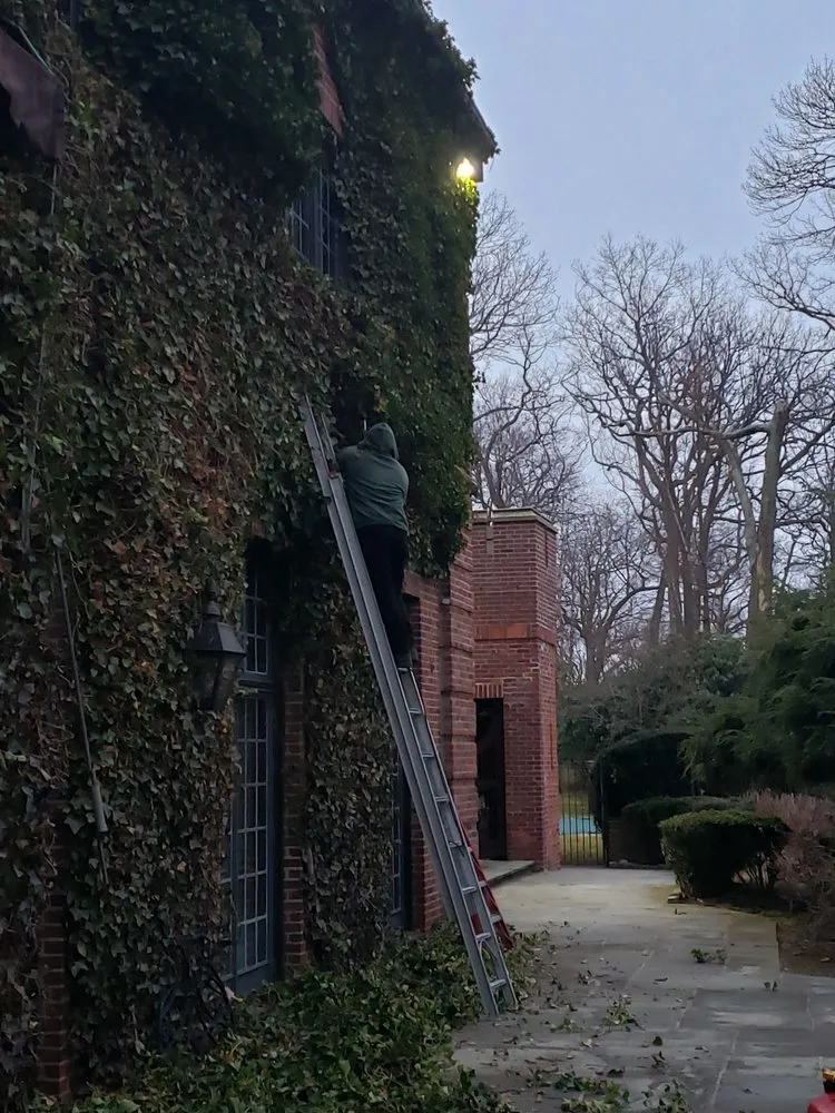 Local yard maintenance in Deer Park, NY by Fuentes Landscaping