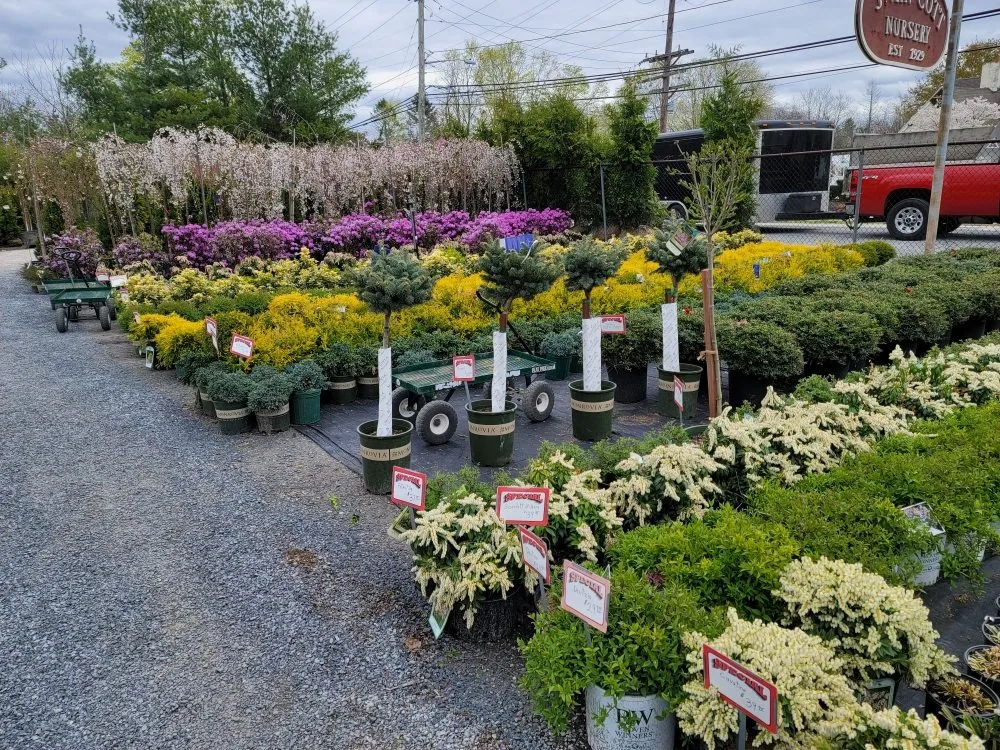 Reliable landscaping services for outdoor upgrades across Deer Park, NY - Fuentes Landscaping