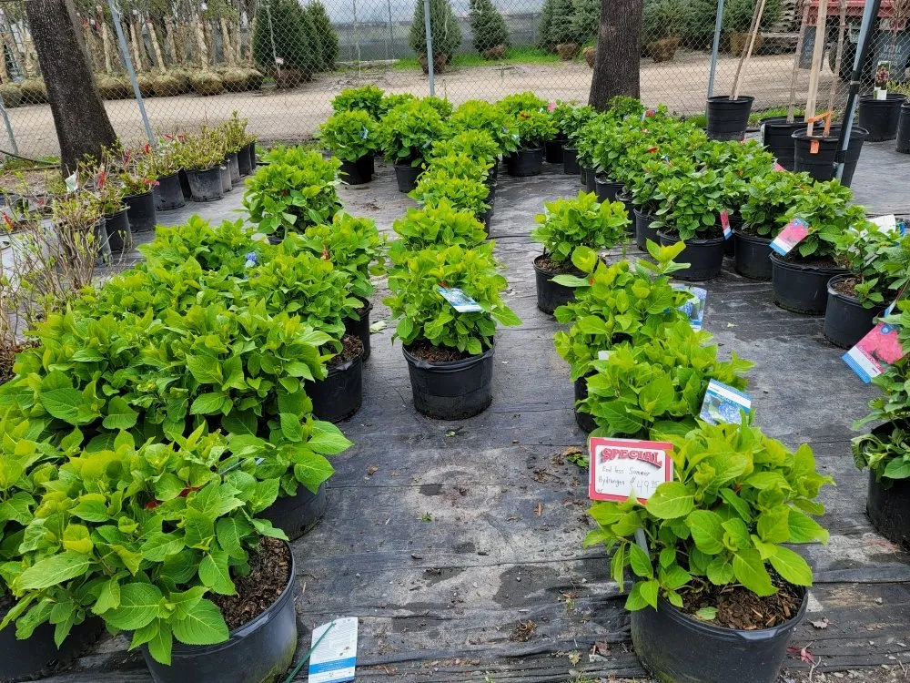 Reliable lawn mowing service in Deer Park, NY by Fuentes Landscaping