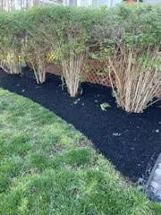 Professional lawn care service for outdoor upgrades in Goldsboro, MD by Fuentes Landscaping