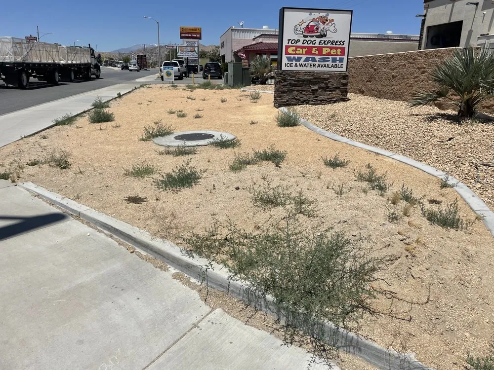 Top-rated garden landscaping for beautiful yards across Joshua Tree, CA - Fuentes Landscaping