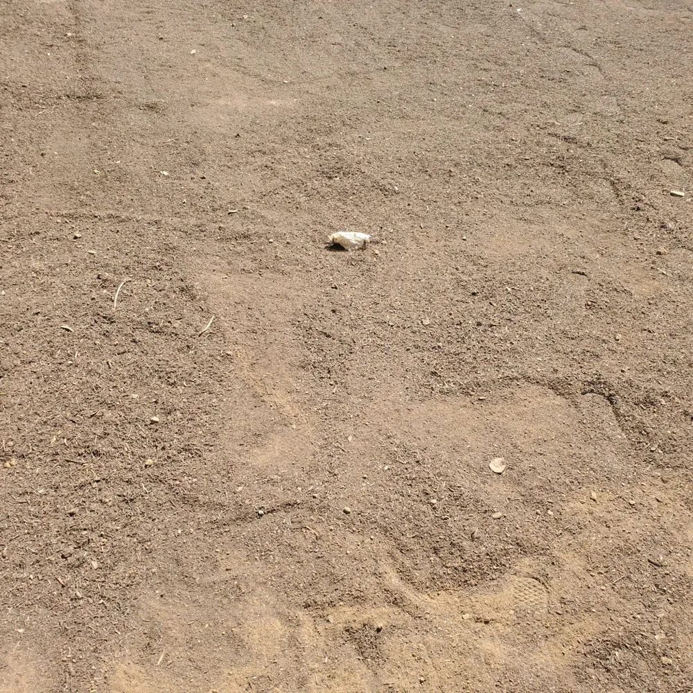 Affordable garden landscaping for beautiful yards in Lake Elsinore, CA by Fuentes Landscaping