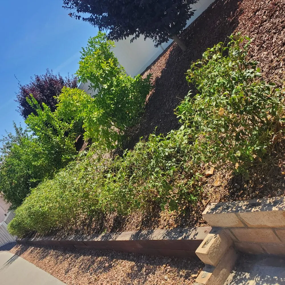 Reliable garden landscaping in Lake Elsinore, CA by Fuentes Landscaping