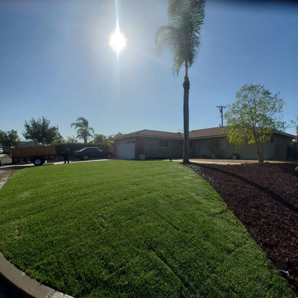 Affordable yard maintenance for residential properties in Lake Elsinore, CA by Fuentes Landscaping