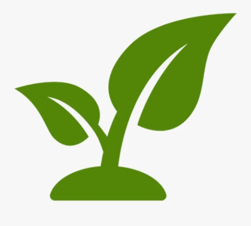 Reliable landscape installation experts serving Magnolia, TX - Fuentes Landscaping