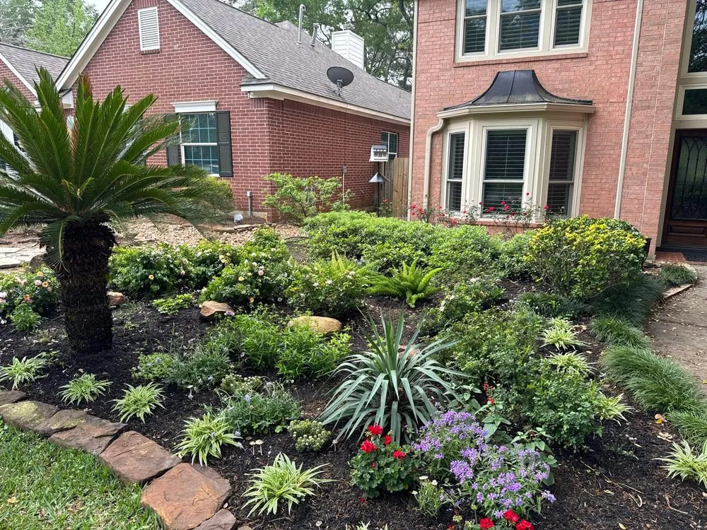 Trusted yard maintenance in Magnolia, TX - Fuentes Landscaping