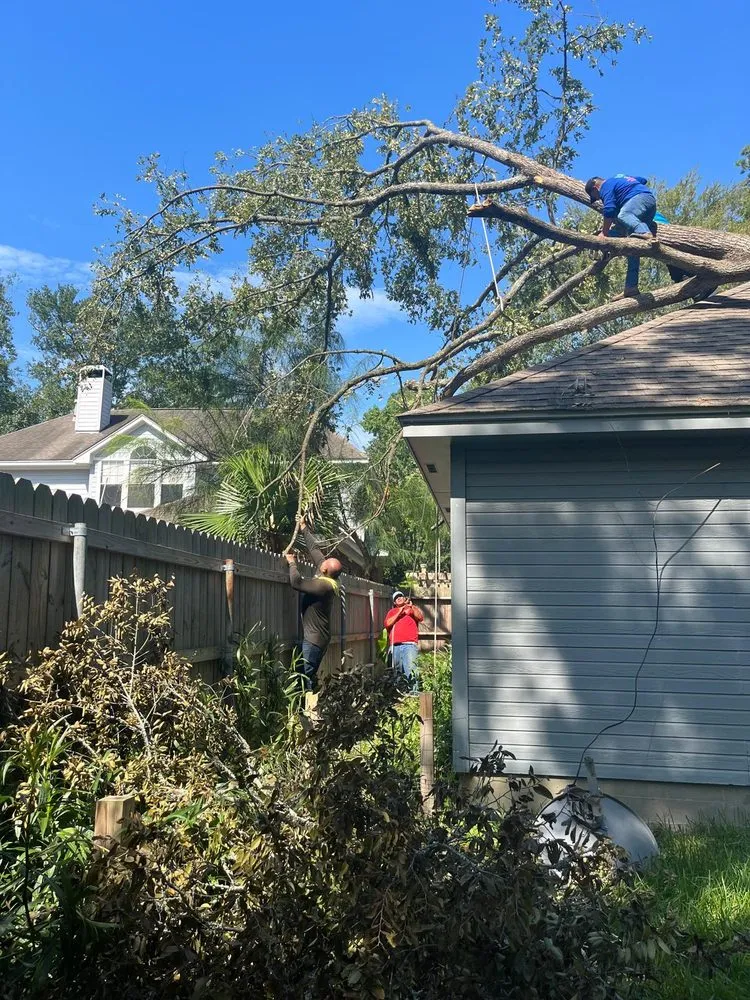 Custom garden landscaping experts serving Magnolia, TX - Fuentes Landscaping