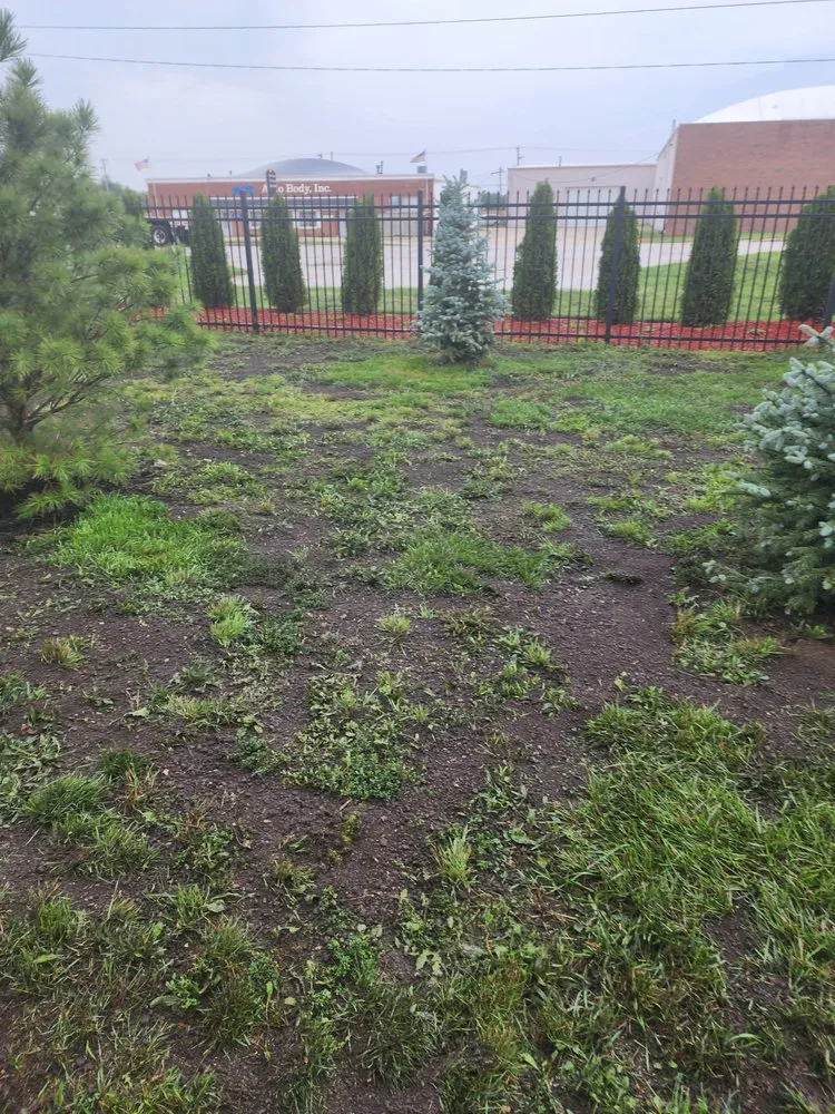 Professional yard maintenance in Northlake, IL by Fuentes Landscaping