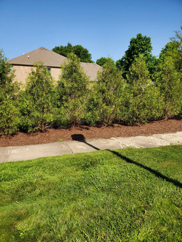 Affordable lawn care service in Northlake, IL by Fuentes Landscaping