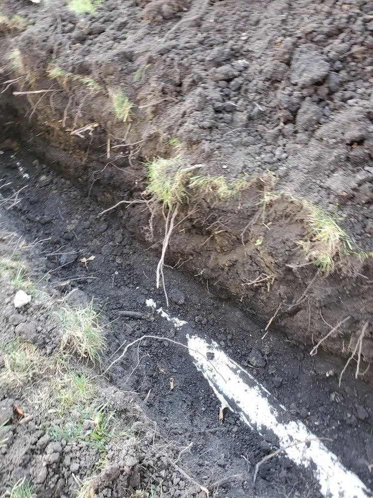 Custom residential landscaping in Northlake, IL by Fuentes Landscaping