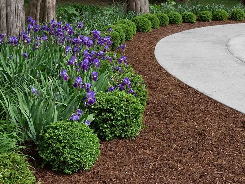 Reliable lawn mowing service in Philadelphia, PA - Fuentes Landscaping