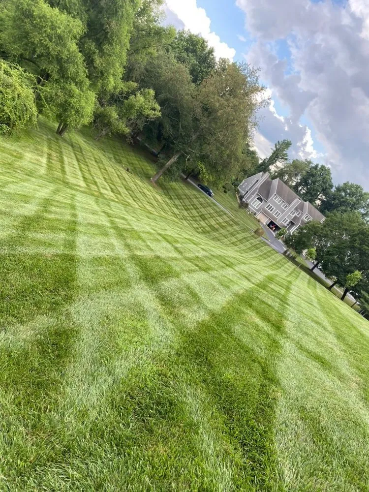 Trusted landscape installation in Philadelphia, PA by Fuentes Landscaping