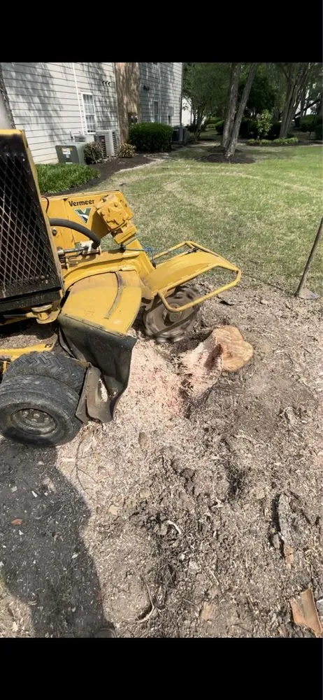 Professional yard maintenance for year-round maintenance in Memphis, TN by Fuentes Landscaping Service