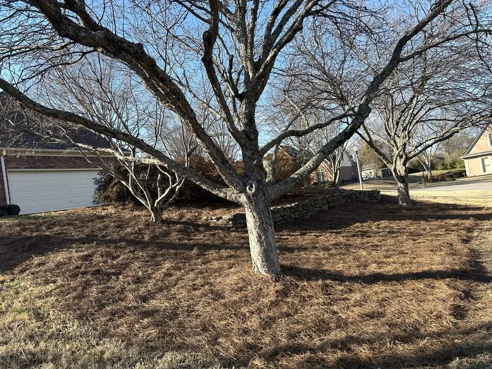 Custom lawn mowing service in Memphis, TN - Fuentes Landscaping Service