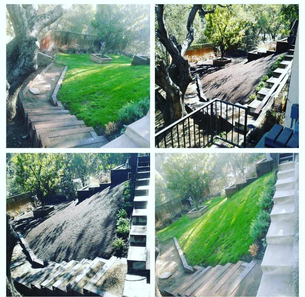 Trusted outdoor landscaping for year-round maintenance across Pasadena, CA - Fuentes Landscaping Services