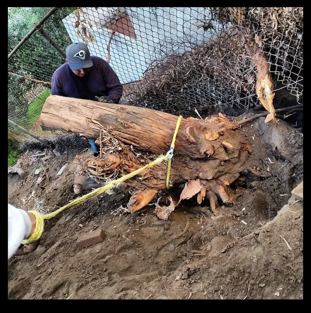 Local residential landscaping with custom design across Pasadena, CA - Fuentes Landscaping Services