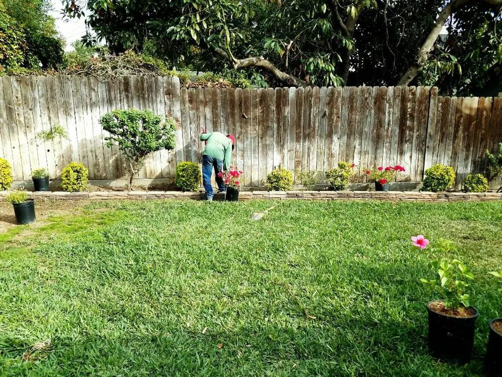 Custom yard cleanup service for residential properties in Pasadena, CA by Fuentes Landscaping Services