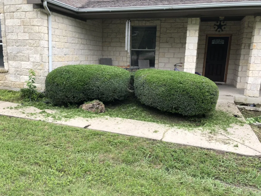 Local landscape design with custom design across Austin, TX - Fuentes Lawn Care
