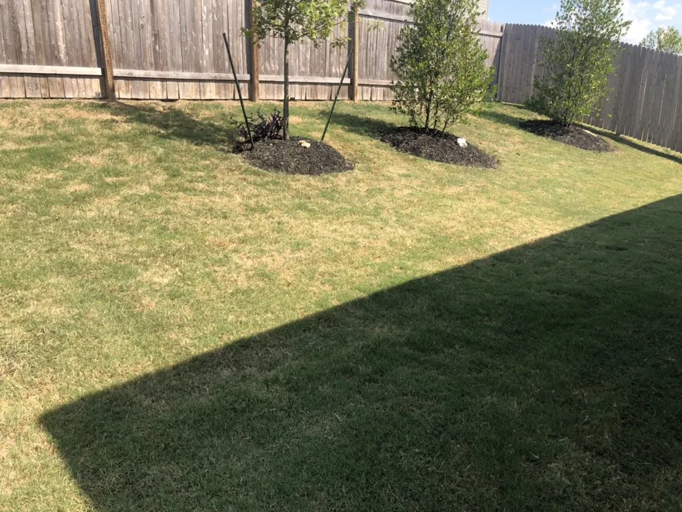 Top-rated lawn care service experts serving Austin, TX - Fuentes Lawn Care