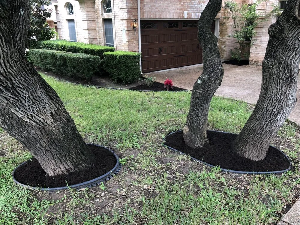 Expert garden landscaping in Austin, TX by Fuentes Lawn Care