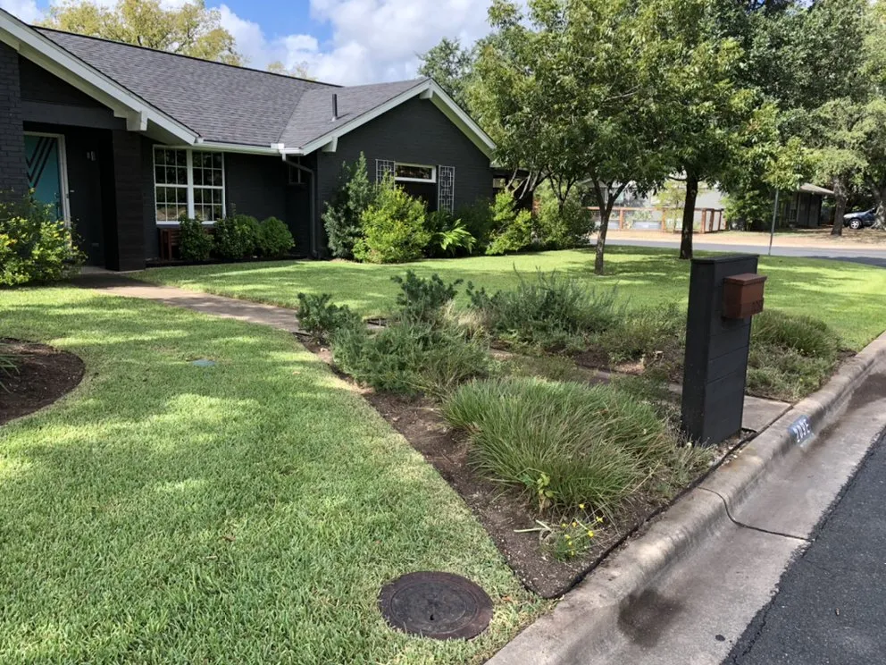 Local yard cleanup service experts serving Austin, TX - Fuentes Lawn Care