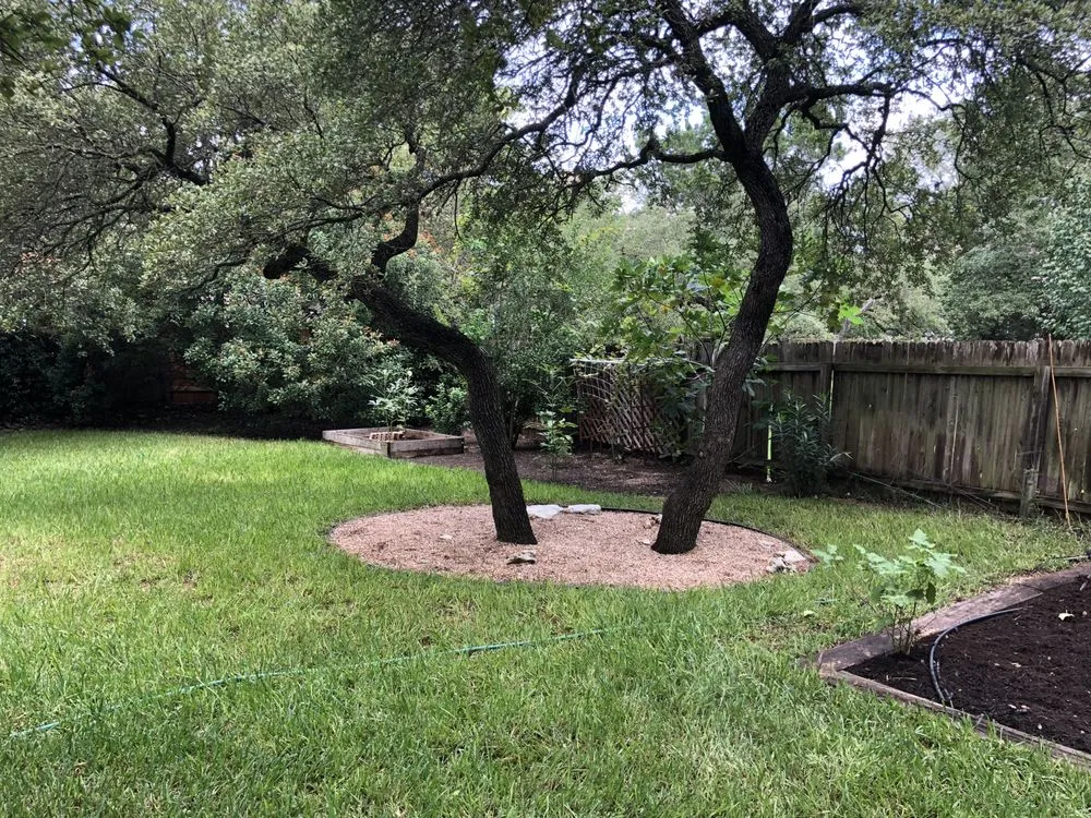 Professional yard maintenance in Austin, TX - Fuentes Lawn Care