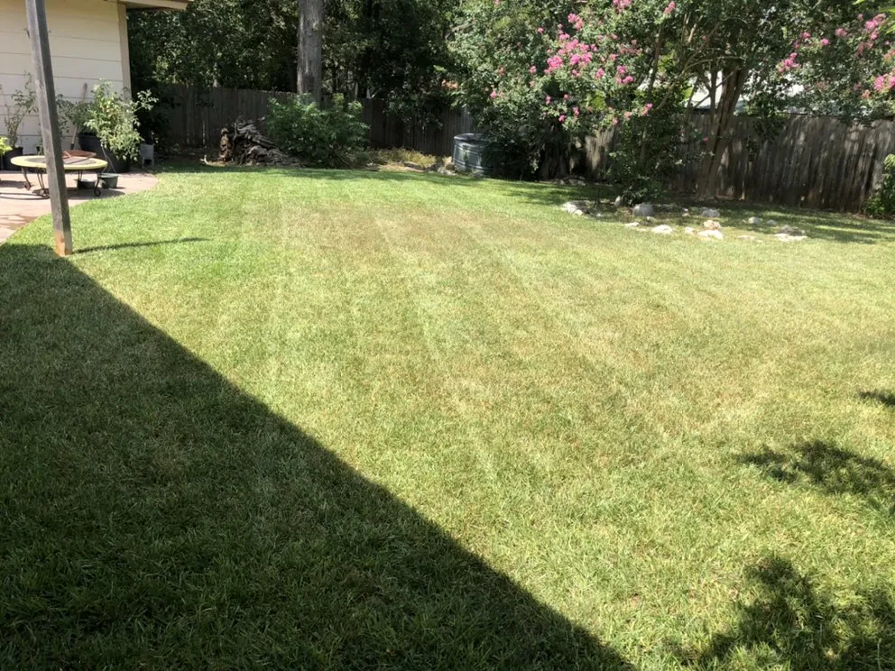 Expert yard cleanup service experts serving Austin, TX - Fuentes Lawn Care