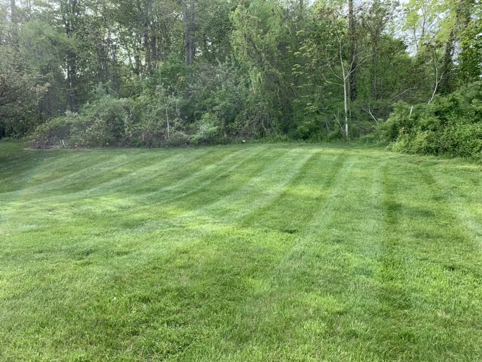 Local lawn mowing service in Meriden, CT - Fuentes Lawn Care