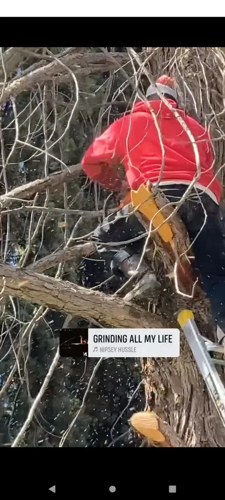 Custom landscape installation in Merced, CA by Fuentes Maintance & Landscaping
