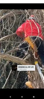 Fuentes Maintance & Landscaping Logo