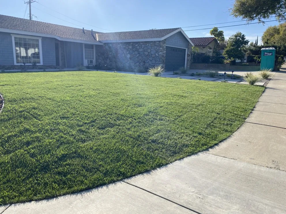 Custom outdoor landscaping for homes in Duarte, CA by Fuerza Landscape