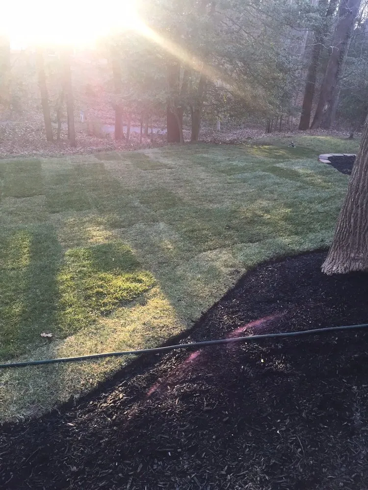 Professional yard maintenance in Annapolis, MD - Fugon Landscaping