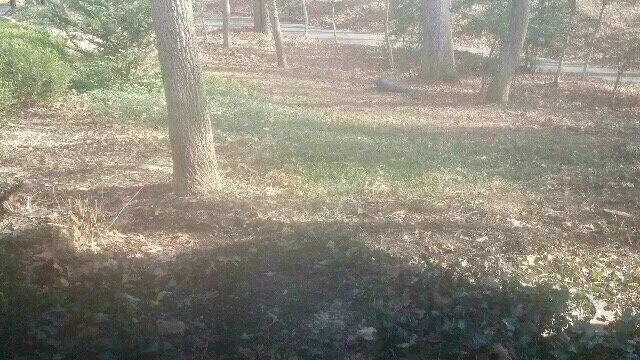 Expert residential landscaping in Annapolis, MD by Fugon Landscaping