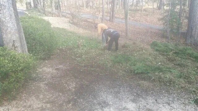 Top-rated landscape design experts serving Annapolis, MD - Fugon Landscaping