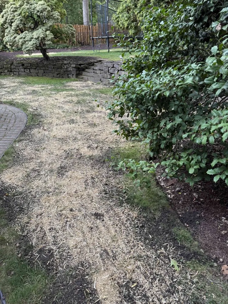 Reliable yard cleanup service for outdoor upgrades in Norwood, NJ by Fuji Valley Landscaping